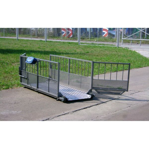 Весы для свиней Axis 4BDU 600X-0820 Бюджет 015798 фото