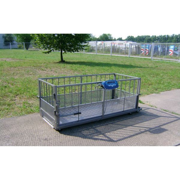 Весы для свиней Axis 4BDU 600X-0820 Бюджет 015798 фото