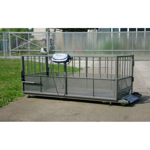 Весы для свиней Axis 4BDU 600X-0820 Бюджет 015798 фото